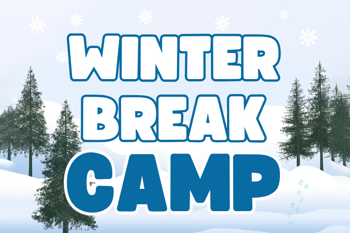 winter-break-camp-banner